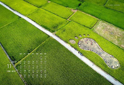 東豐休閒農業園區割稻穗啦、二期稻陸續收割最新動態代表圖